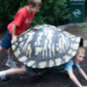 Meet your Posher, D.